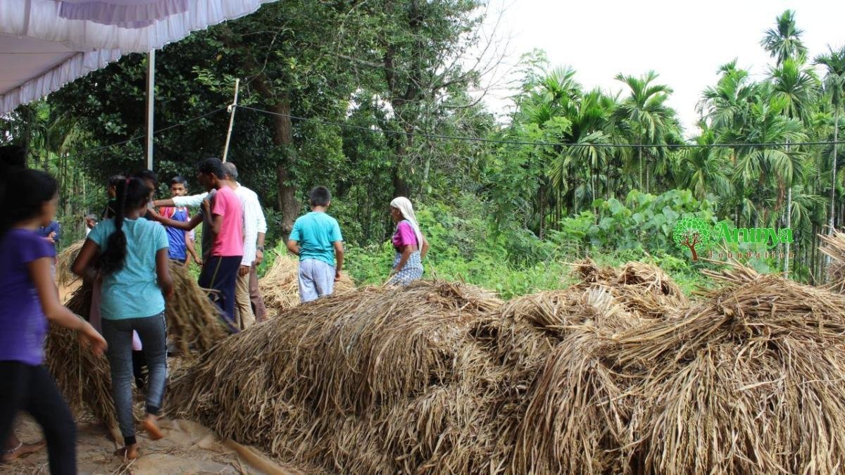 Harvested paddy stacked at the workshop site