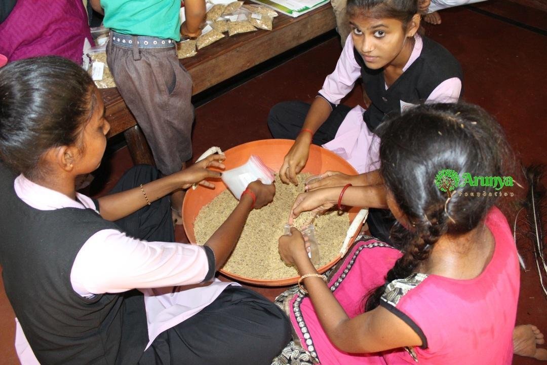 Students sorting and packing paddy seed during Bhattada Thene